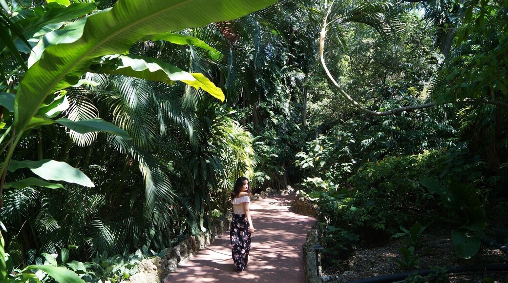 Love this place for walks and pictures! Also, the food from the cafeteria is GOOD!