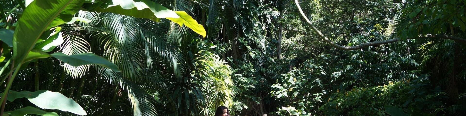 Love this place for walks and pictures! Also, the food from the cafeteria is GOOD!