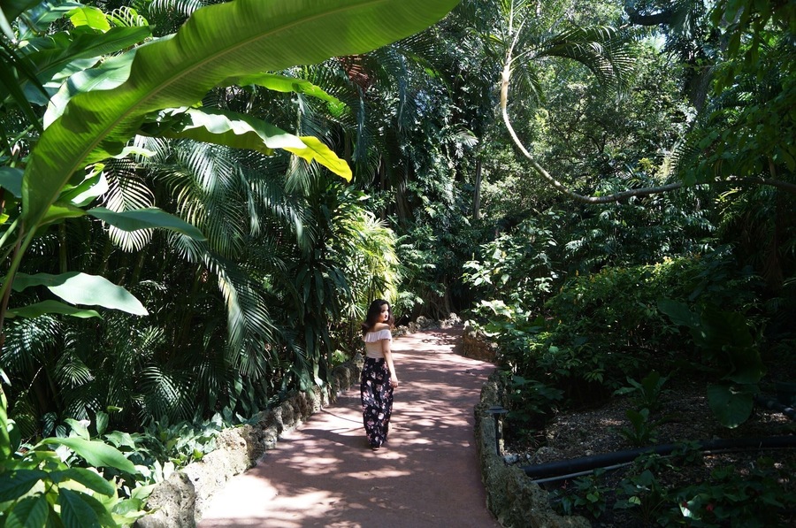 Love this place for walks and pictures! Also, the food from the cafeteria is GOOD!