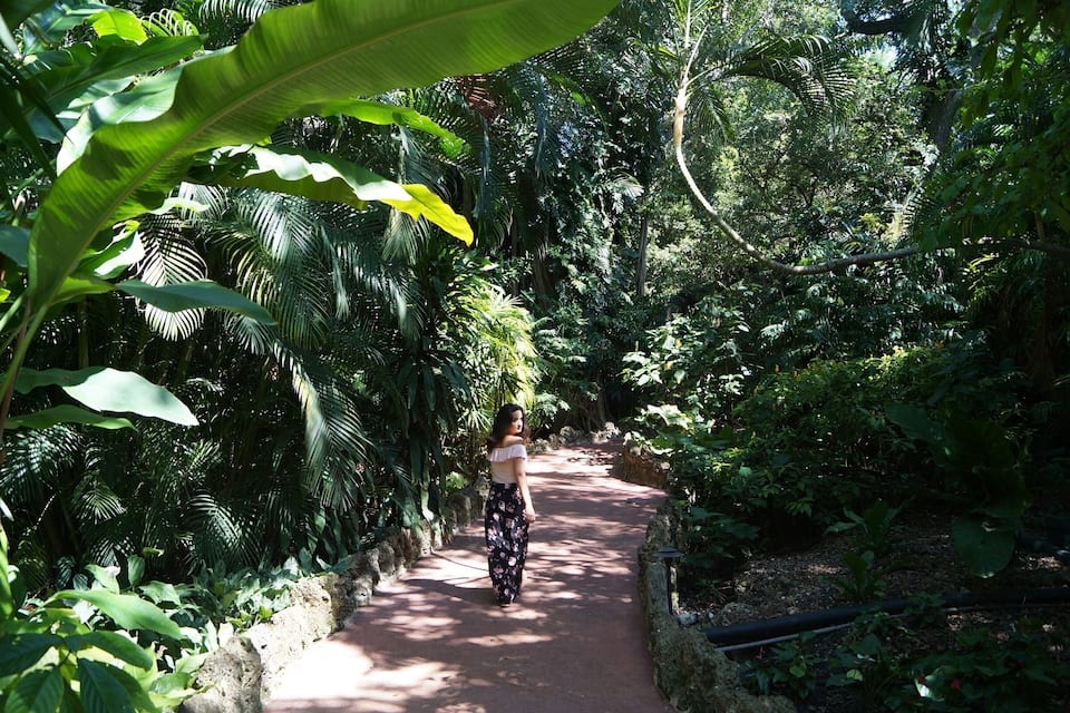 Un sendero serpentea por un bosque frondoso y verde, con una densa vegetación a ambos lados.