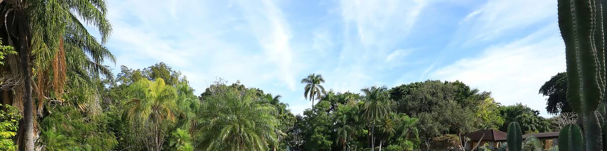 Aerial view of Pinecrest Gardens a 14-acre destination botanical garden in Pinecrest, Florida, USA.