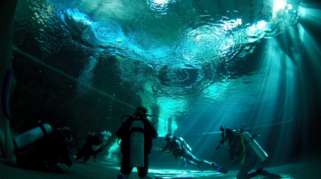 Our heated pool is covered over. Not only to protect our students from the sun - it's covered with solar panels which power our entire dive centre!