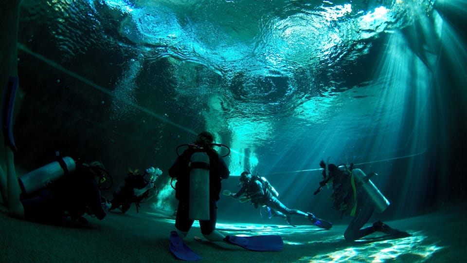 Our heated pool is covered over. Not only to protect our students from the sun - it's covered with solar panels which power our entire dive centre!