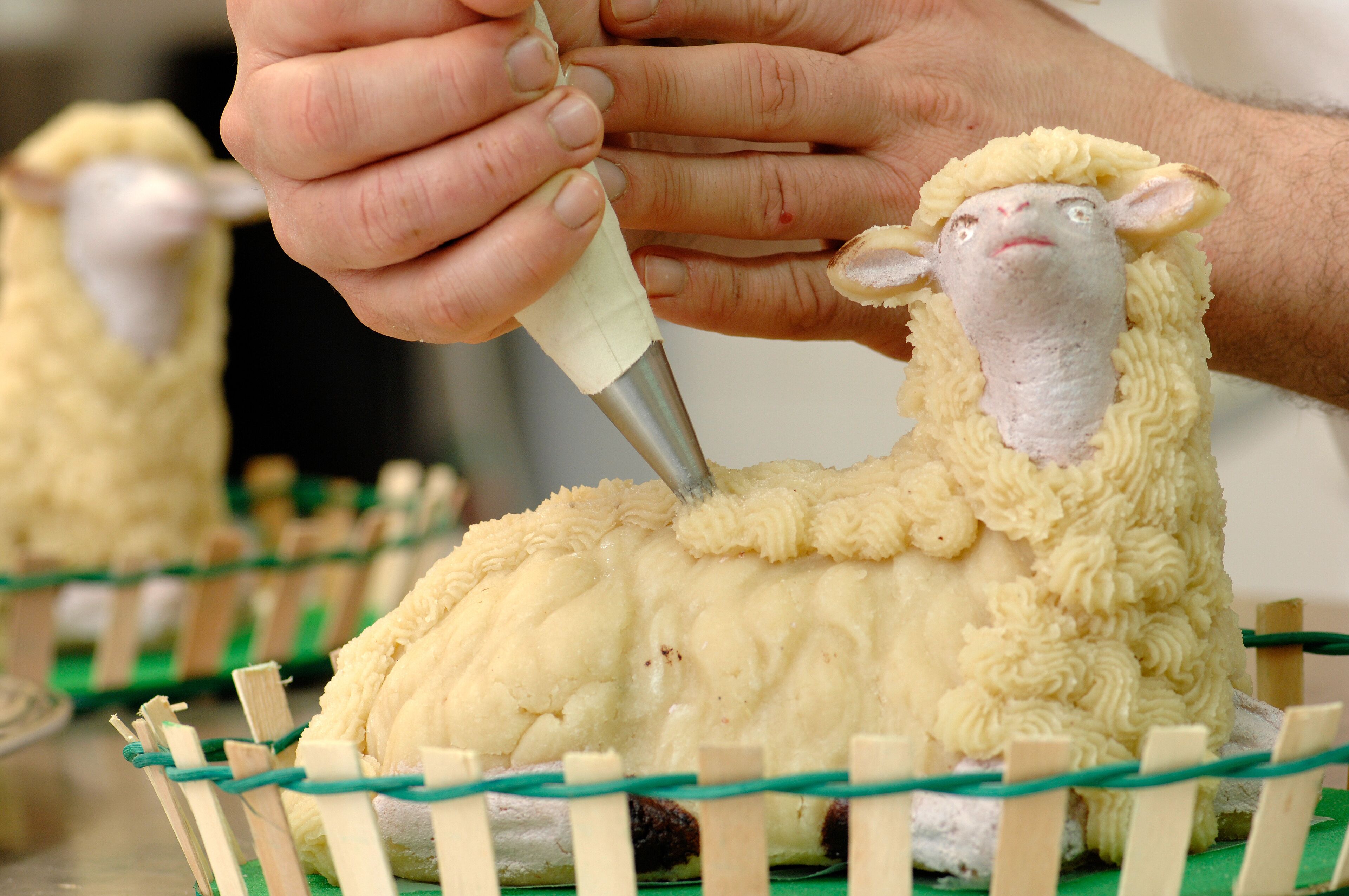 Easter lamb cake typical of the city of Favara in Sicily in Italy handcrafted with almond paste
