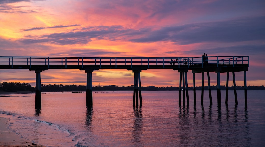 Torquay featuring a sunset and general coastal views