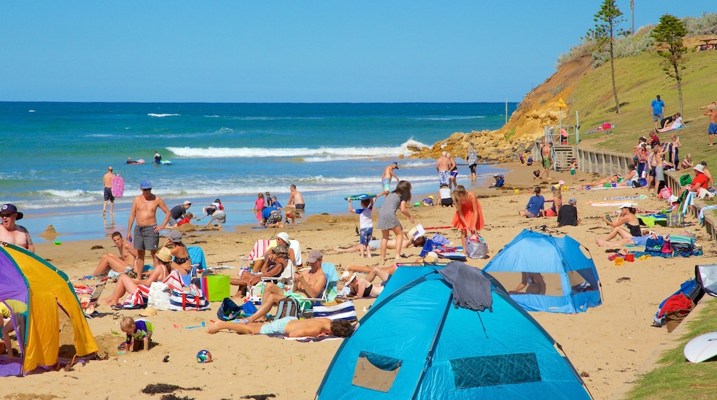 Torquay qui includes plage de sable aussi bien que important groupe de personnes