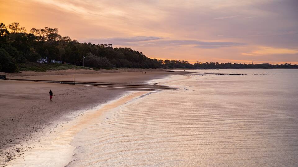 A beach with a person walking along the shore, a sandy beach, and a forested area in the background.