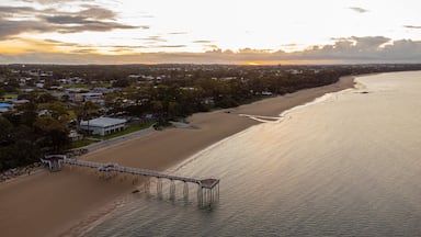 A coastal town with a pier extending into the sea, surrounded by residential buildings and dense greenery.