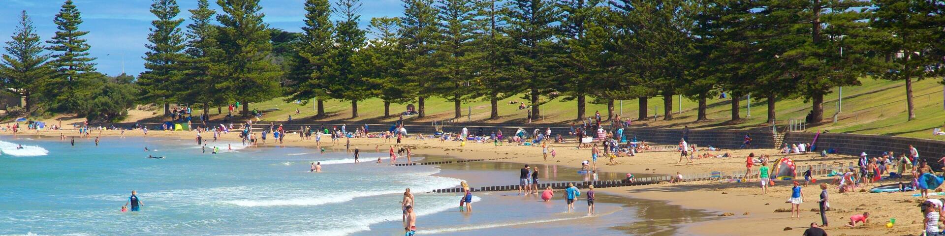 Torquay caratteristiche di baia e porto e spiaggia cosi come un grande gruppo di persone