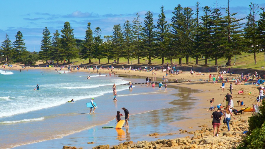Torquay showing a bay or harbour and a sandy beach as well as a large group of people