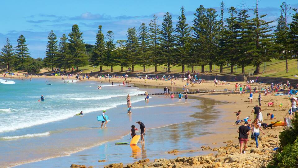 A crowded beach with people surfing and swimming, surrounded by trees and a rocky shoreline.