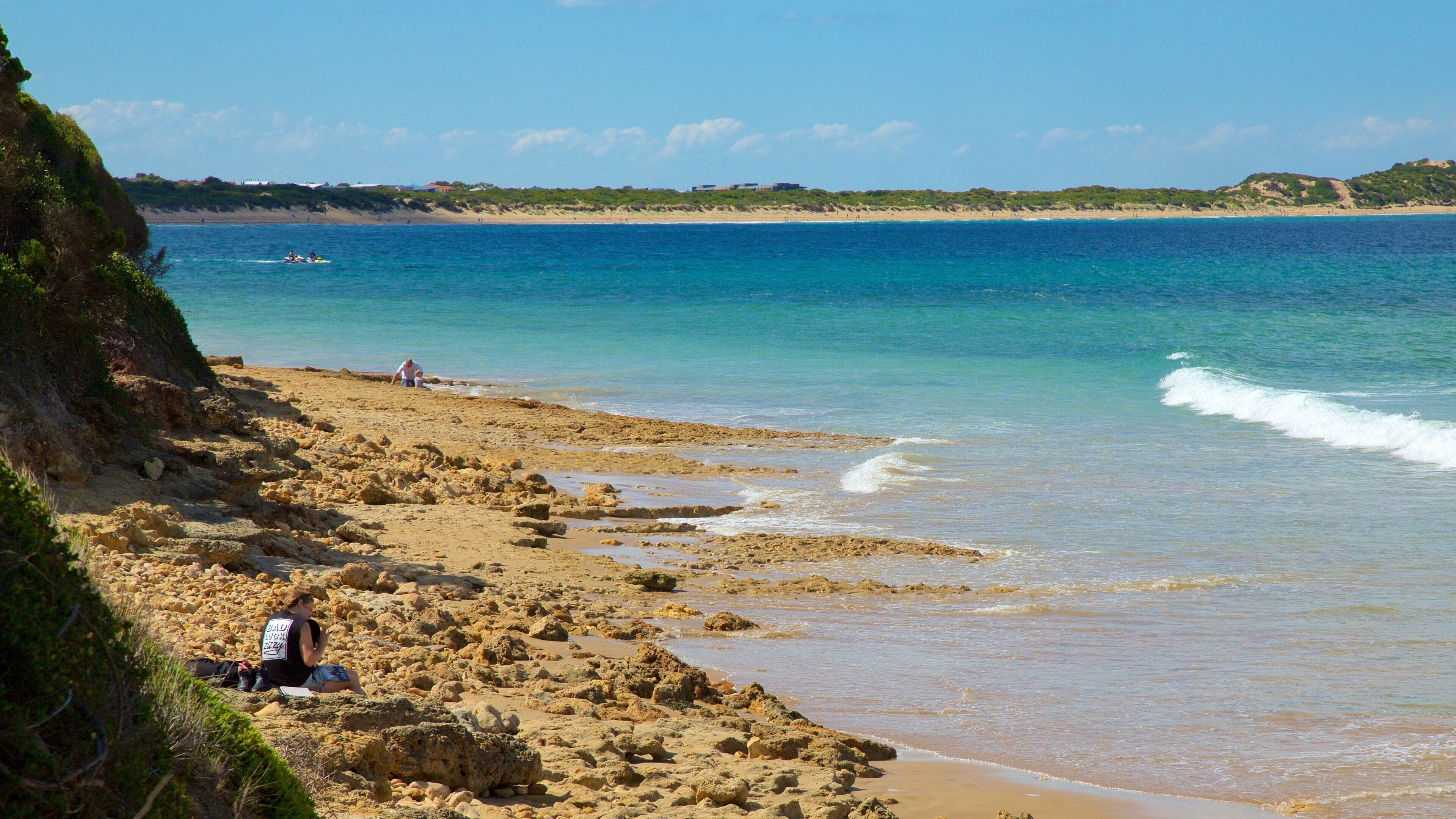 Torquay featuring general coastal views and rocky coastline