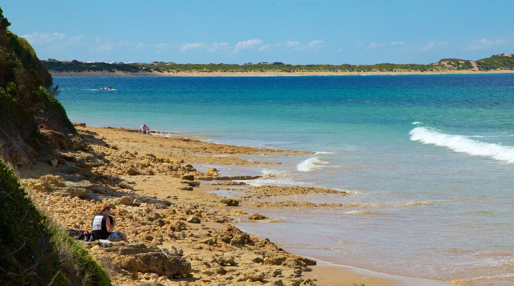 Torquay featuring general coastal views and rocky coastline