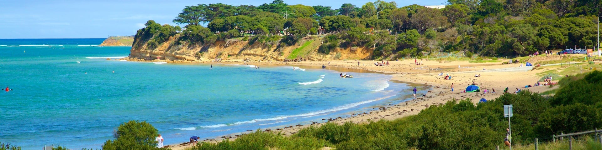 A coastal beach with clear blue waters, sandy shore, and dense green vegetation.