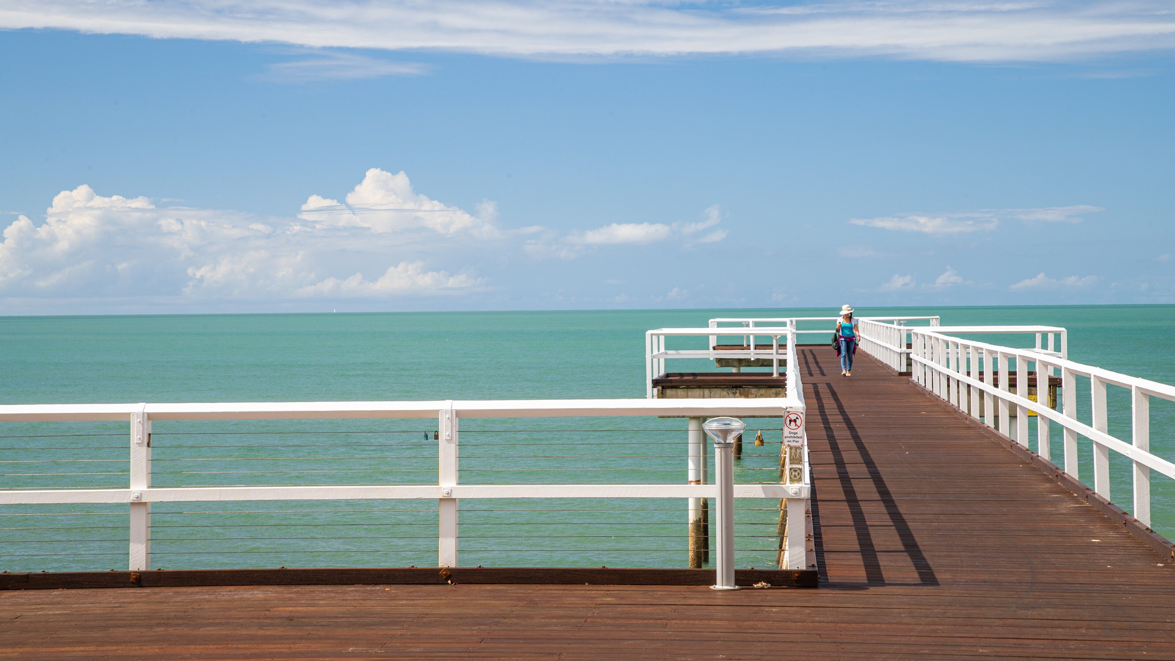 Scarness which includes general coastal views as well as an individual femail