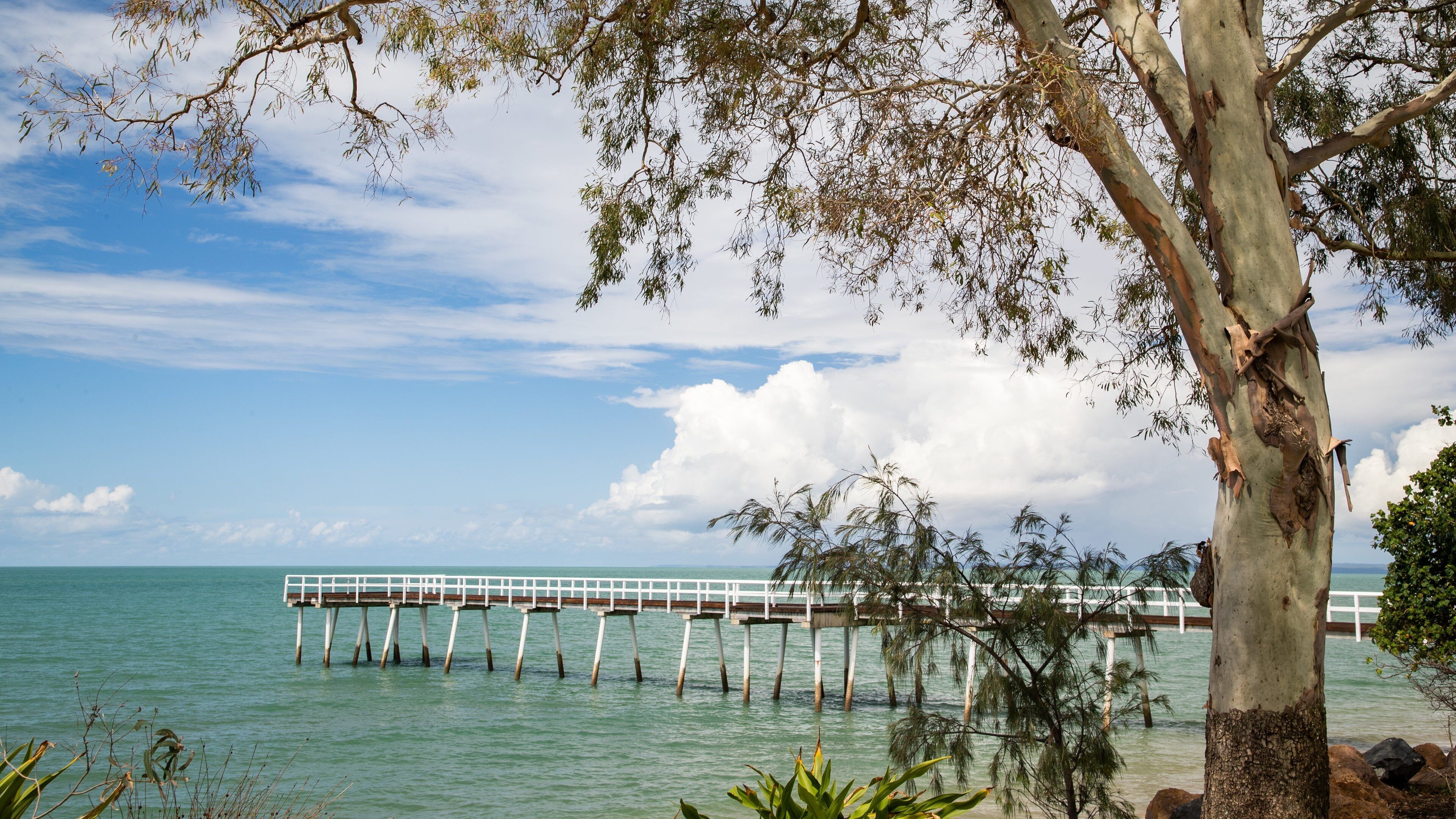 A coastal scene with a white pier extending into calm blue waters, surrounded by trees and a clear sky.