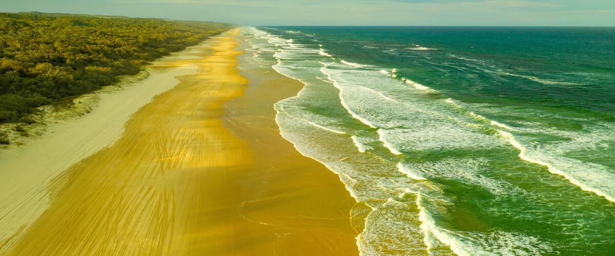 A coastal landscape with a sandy beach and ocean waves.
