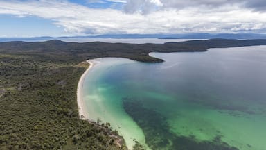An aerial view of a coastal landscape with a sandy beach, clear turquoise waters, and surrounding forested hills.
