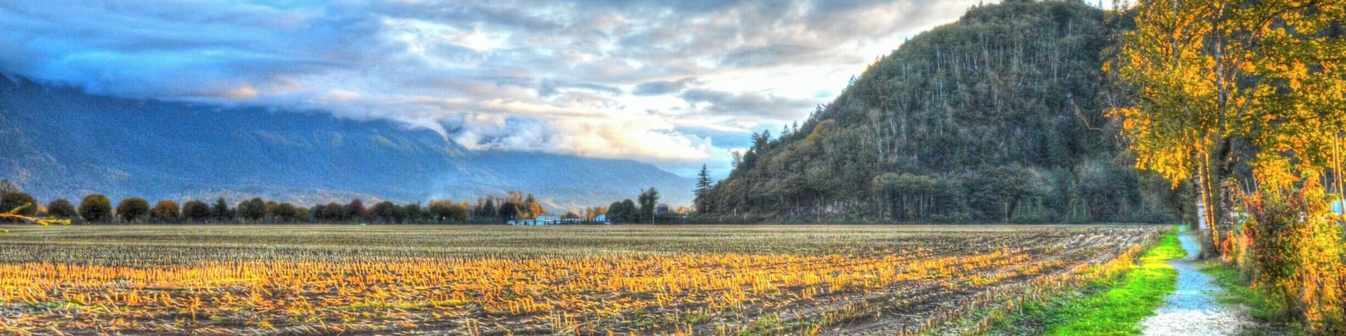 A little town situation between the city of Chilliwack BC and the town of Harrison Hot Spring. A walk to the part will treat you to views like this, and in the summer the corn field is transforms these scene, keeping it live and unique.