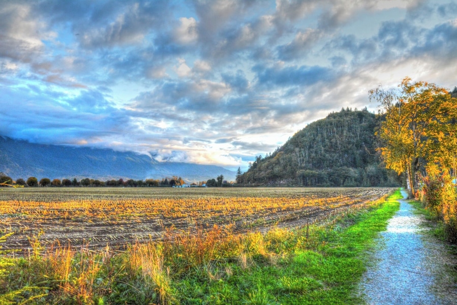 A little town situation between the city of Chilliwack BC and the town of Harrison Hot Spring. A walk to the part will treat you to views like this, and in the summer the corn field is transforms these scene, keeping it live and unique.