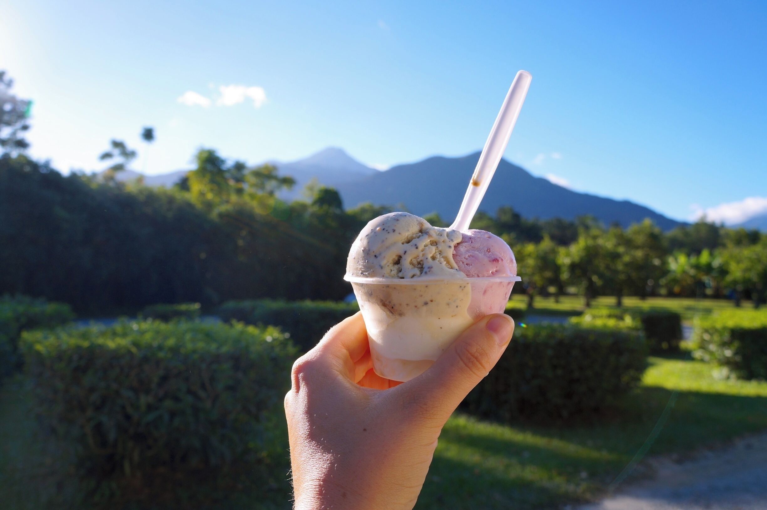 If you day trip to Cape Tribulation make sure to stop off at the Daintree Icecream company. Not only do they have the most amazing home made flavours but they also have an orchard full of local trees and bushes that's a delight to wander through.