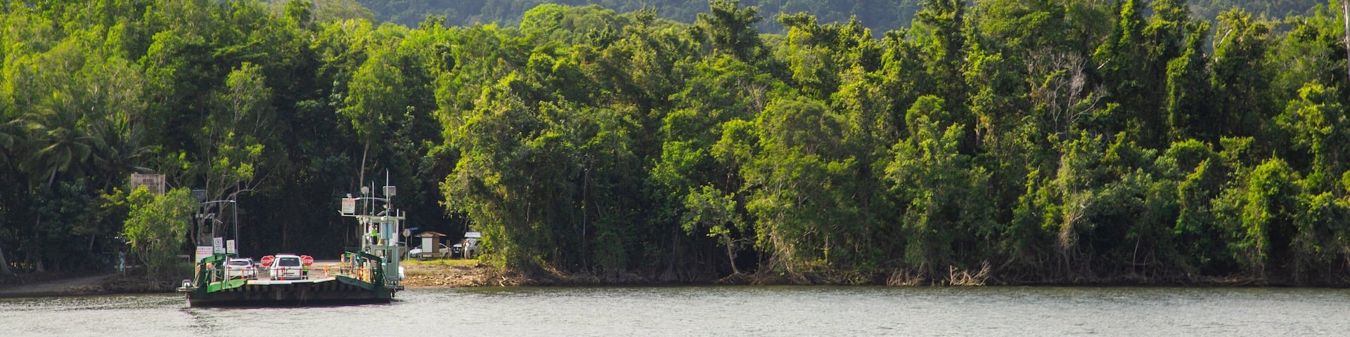 Lower Daintree showing general coastal views and forests