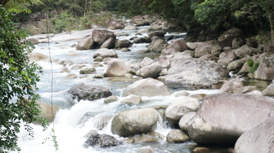Great time at the The Daintree National Park in Port Douglas, AU.,