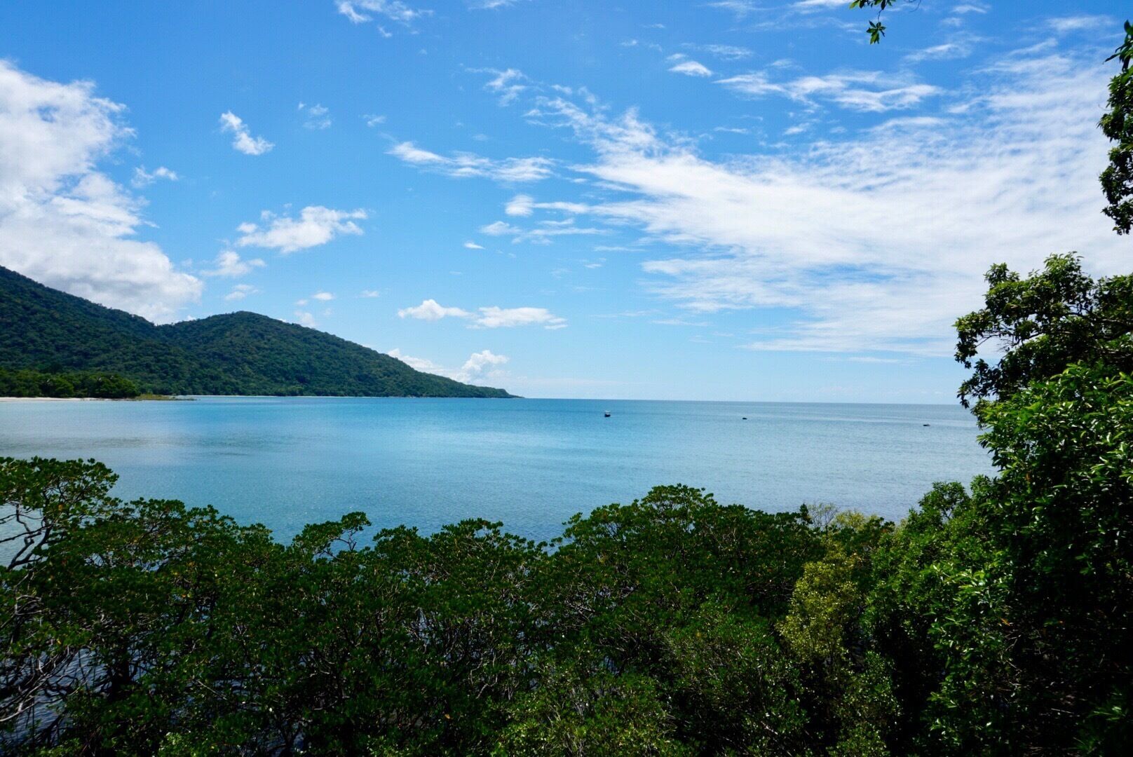 Daintree Rainforest Port Douglas, AU...