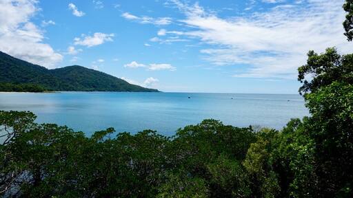 Daintree Rainforest Port Douglas, AU...