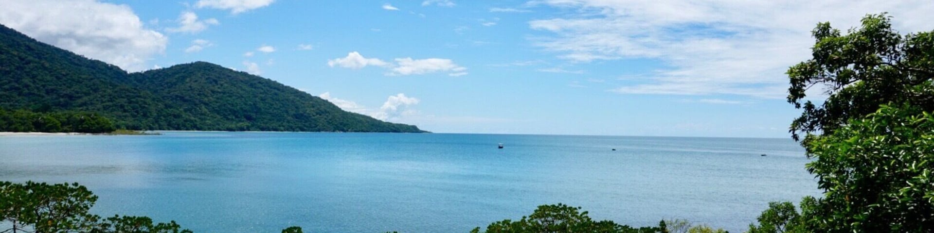 Daintree Rainforest Port Douglas, AU...