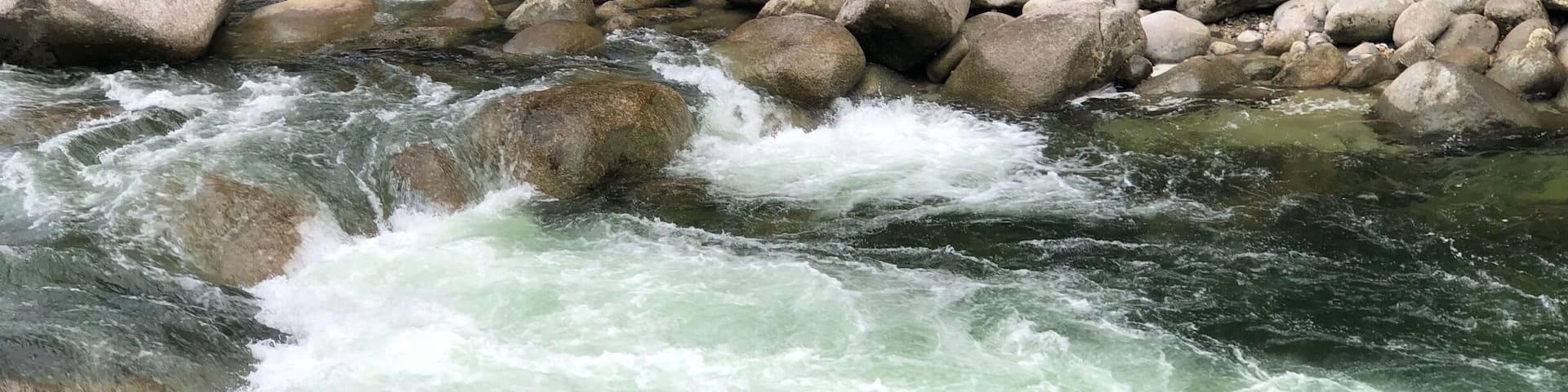 Great time at the The Daintree National Park in Port Douglas, AU.,