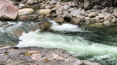 Great time at the The Daintree National Park in Port Douglas, AU.,