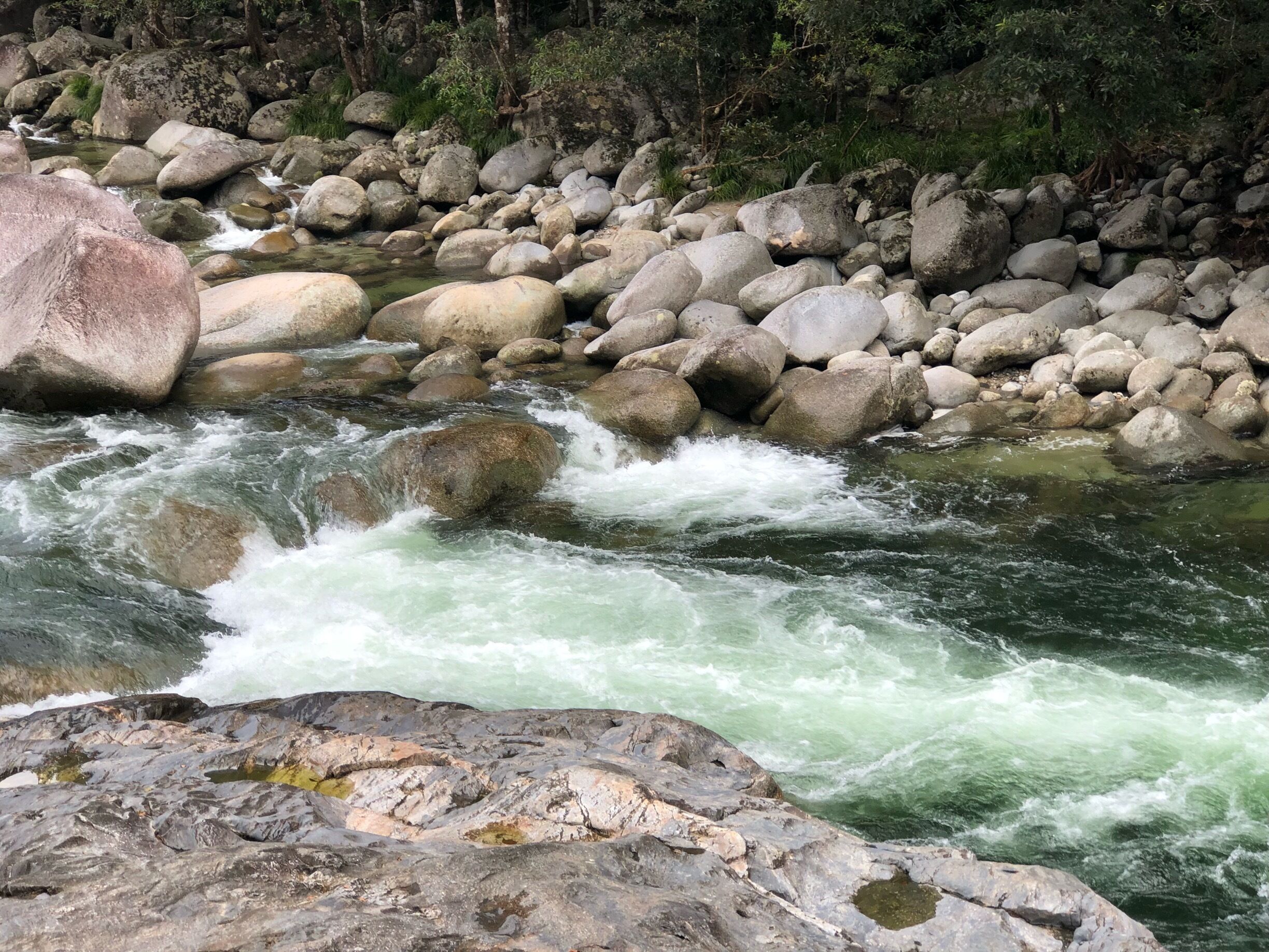 A river with white water rapids, surrounded by large rocks and trees.