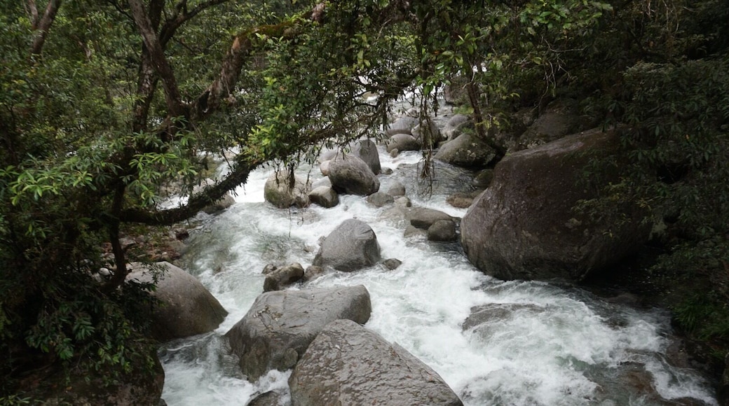 Great time at the The Daintree National Park in Port Douglas, AU.,