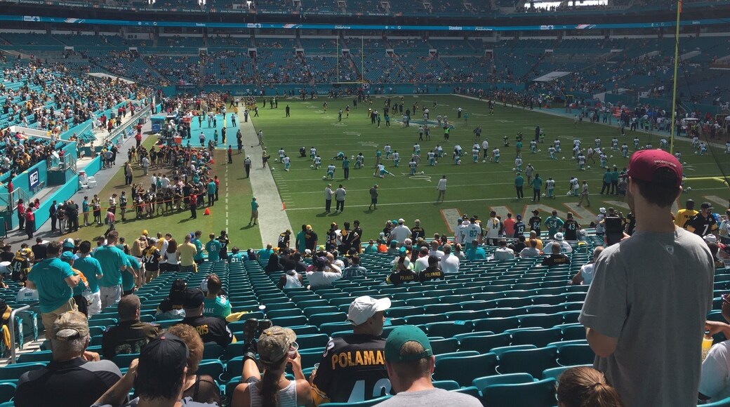 Steelers and Dolphins