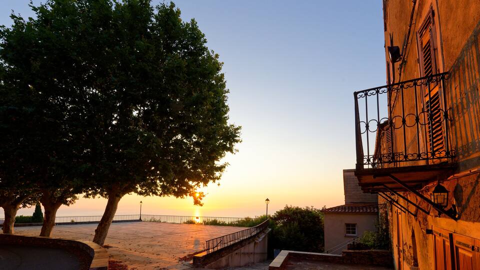 A sunset over a waterfront with a large tree and a building with a balcony.