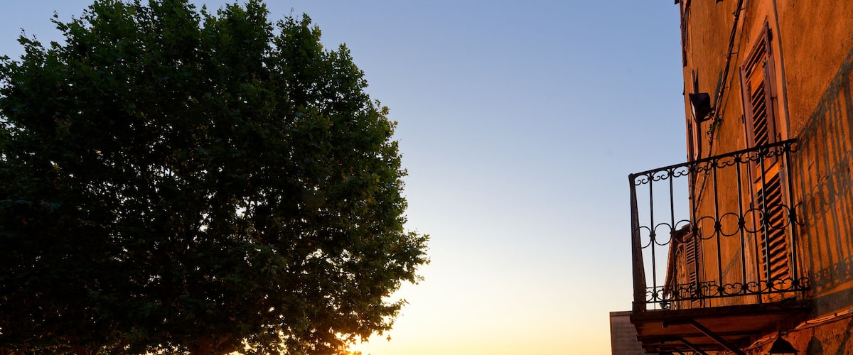 A sunset over a waterfront with a large tree and a building with a balcony.