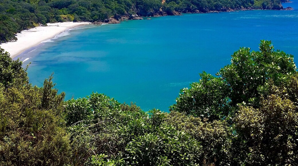 Beautiful coastal hike to this little cove
Read more about our New Zealand adventures at www.surfseayouandme.com