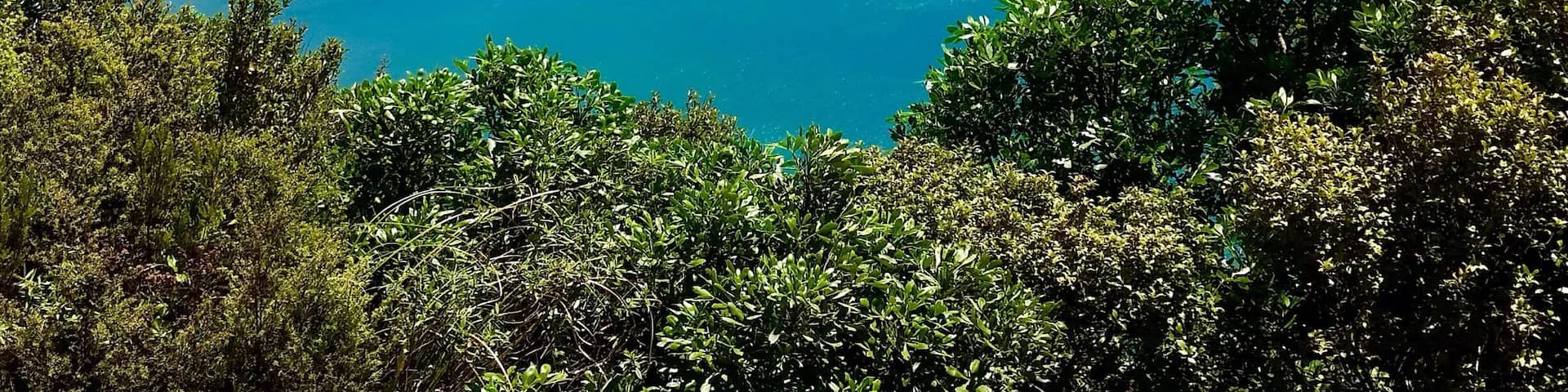 Beautiful coastal hike to this little cove
Read more about our New Zealand adventures at www.surfseayouandme.com