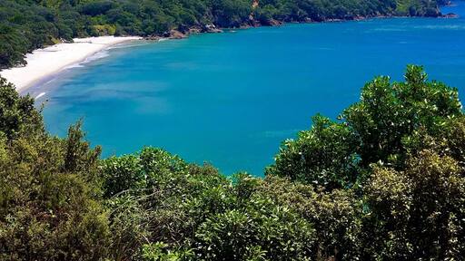Beautiful coastal hike to this little cove
Read more about our New Zealand adventures at www.surfseayouandme.com