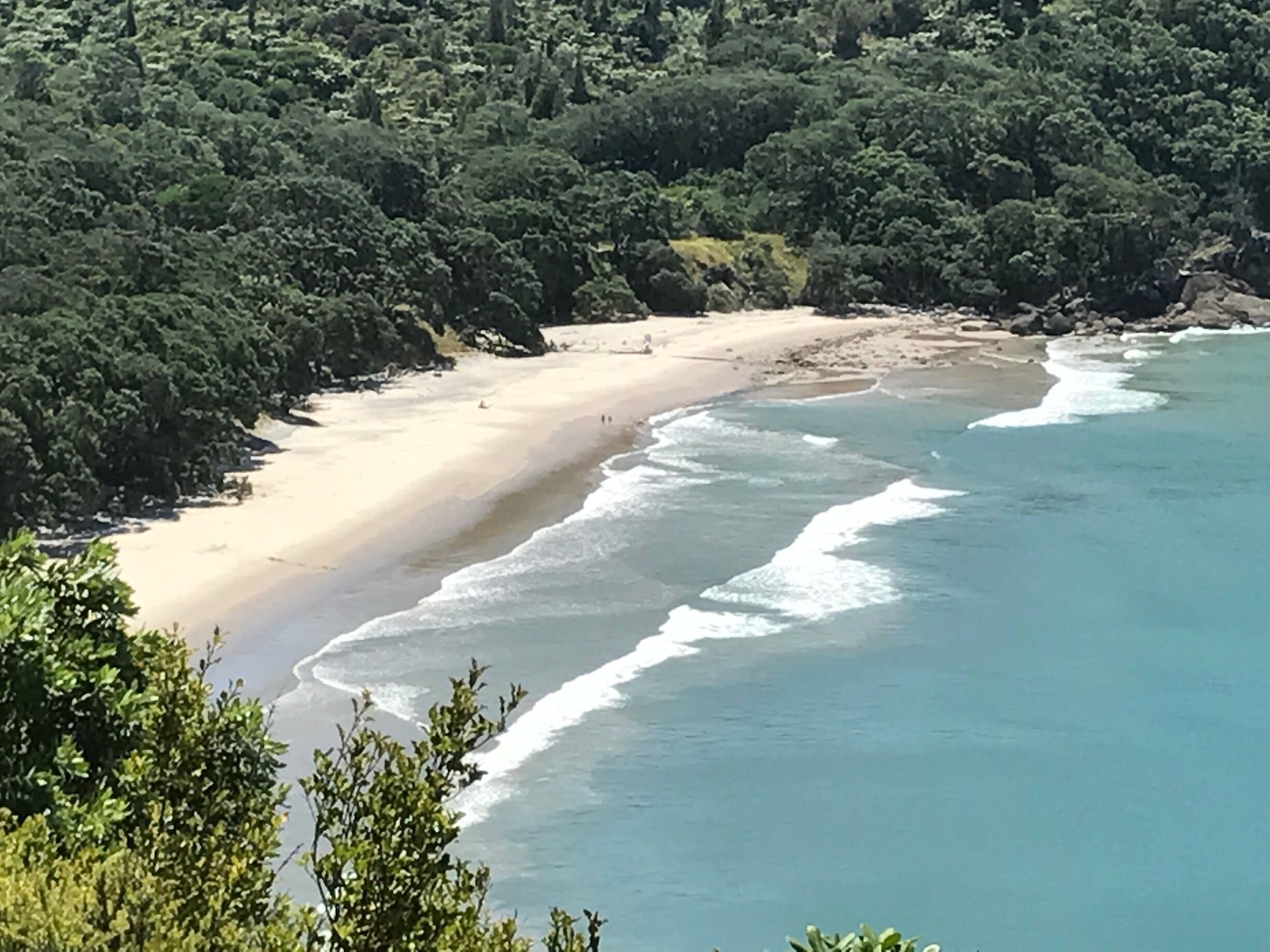 Another Beach in  🇳🇿 
