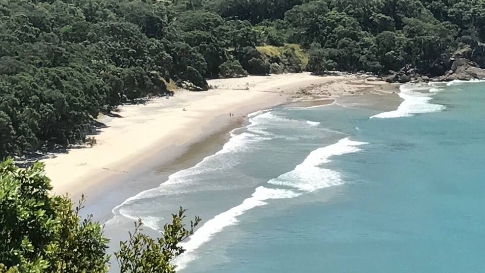 A coastal landscape with a sandy beach, gentle waves, and dense forest.