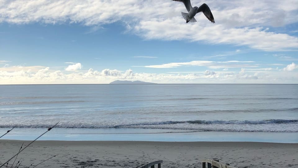 Waihi beach