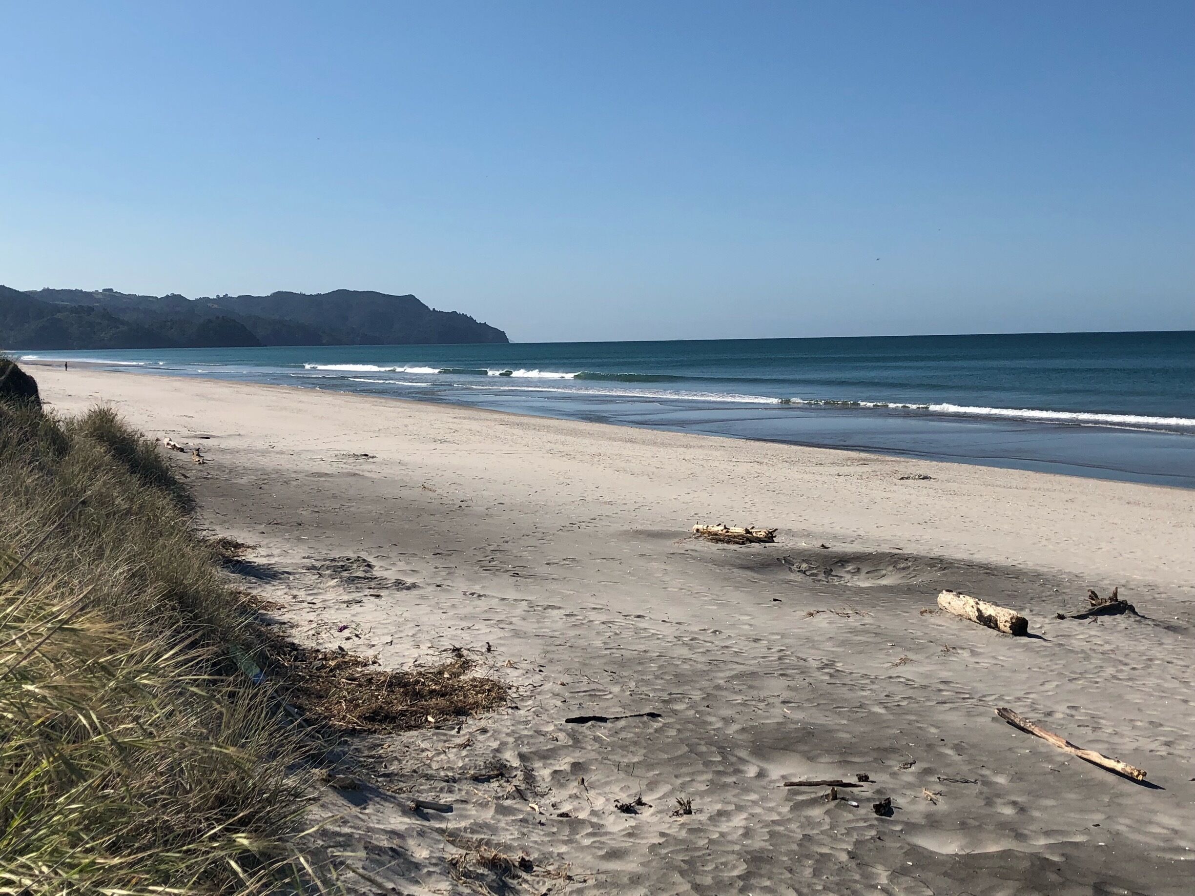 Surfs up waihi beach