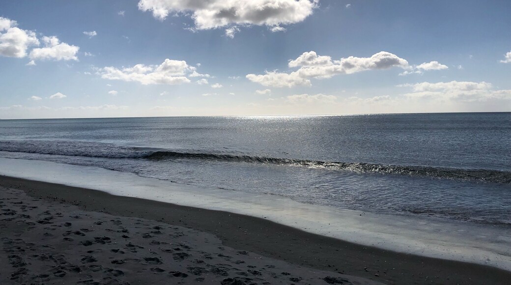 The beach
#waihibeach