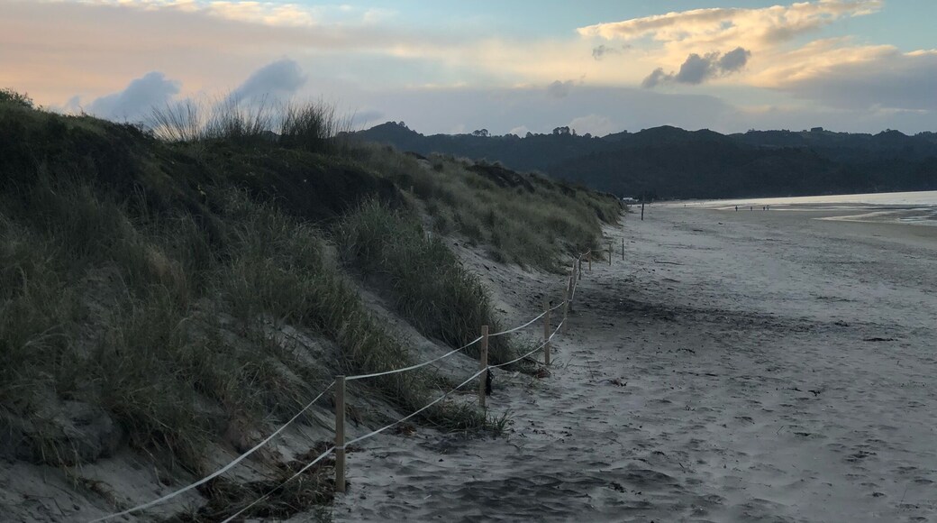 Waihi Beach