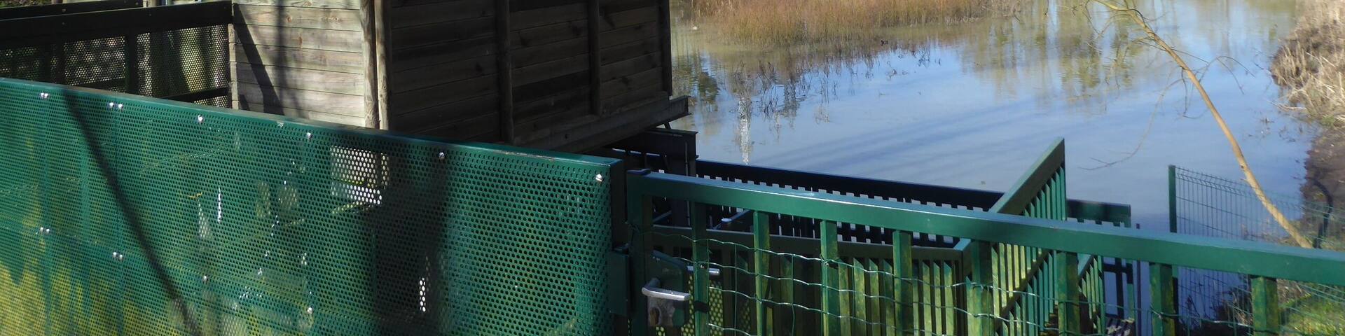 Bassin des Damoiseaux