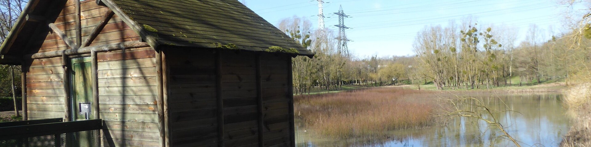 Bassin des Damoiseaux