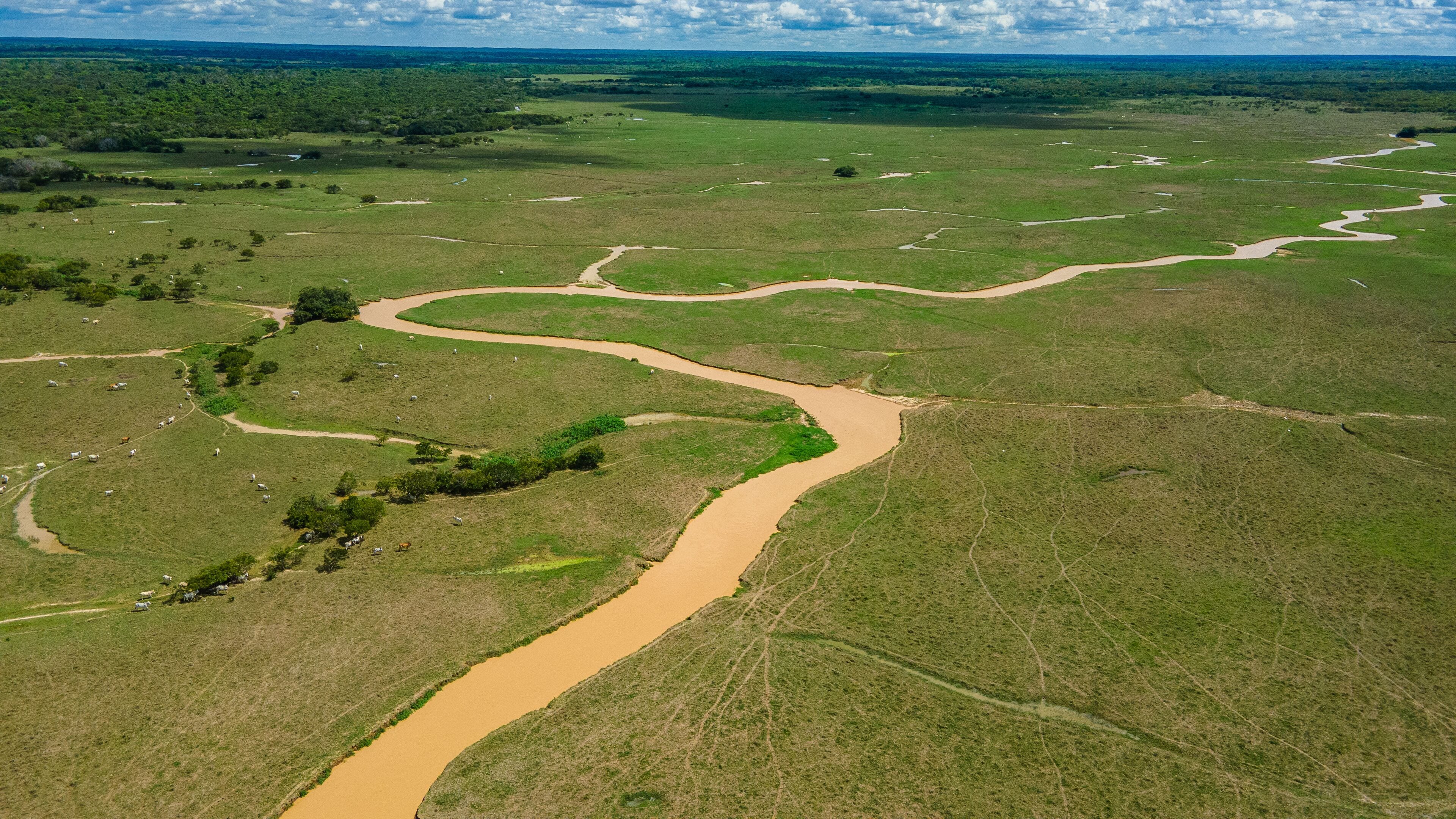 Aerial view of serpentine river in Hato La Aurora, Casanare, Colombia