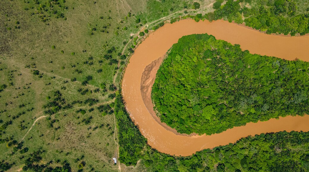 Aerial view of a winding river through Hato La Aurora, Casanare, Colombia